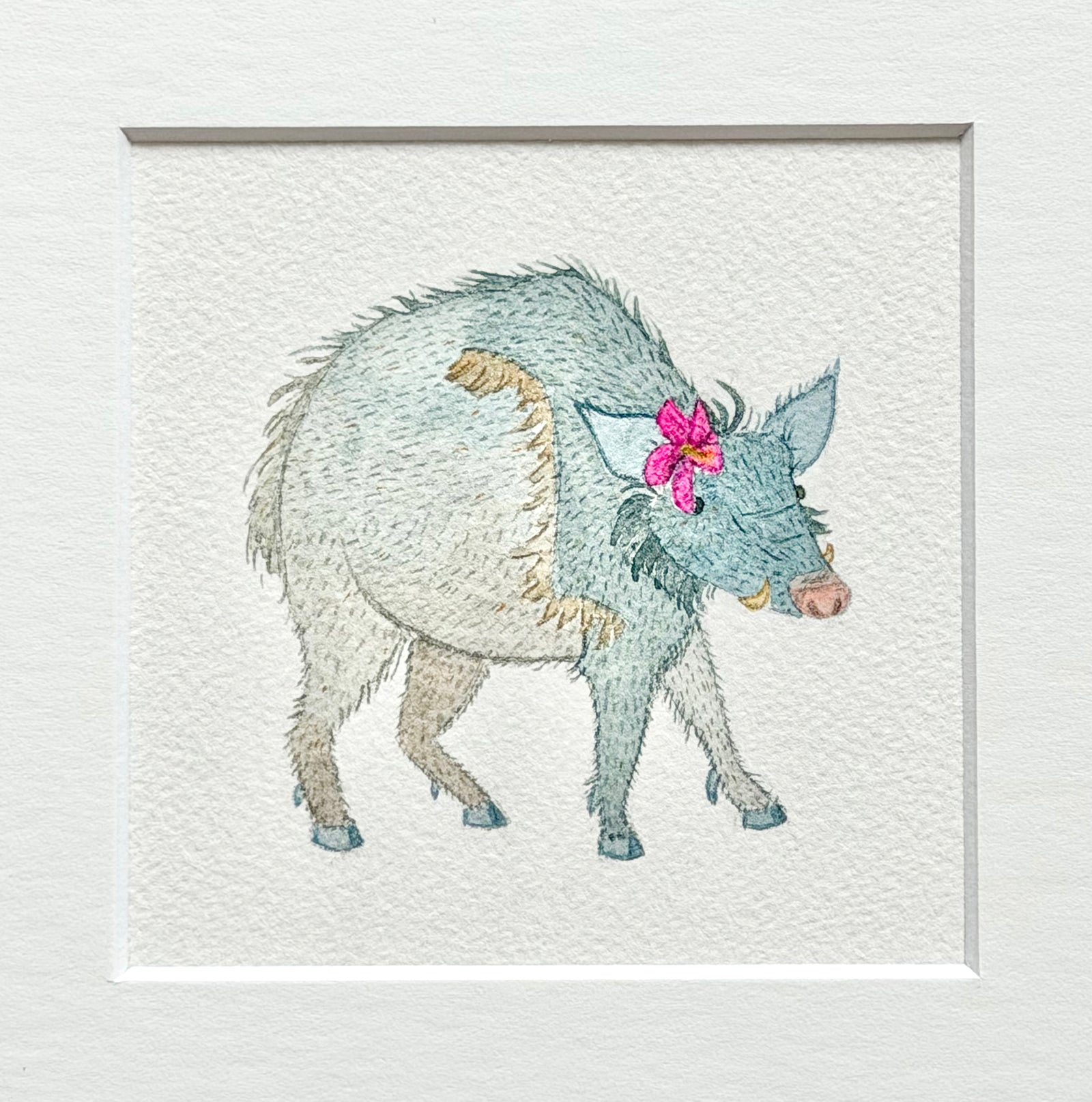 Blooming Javelina