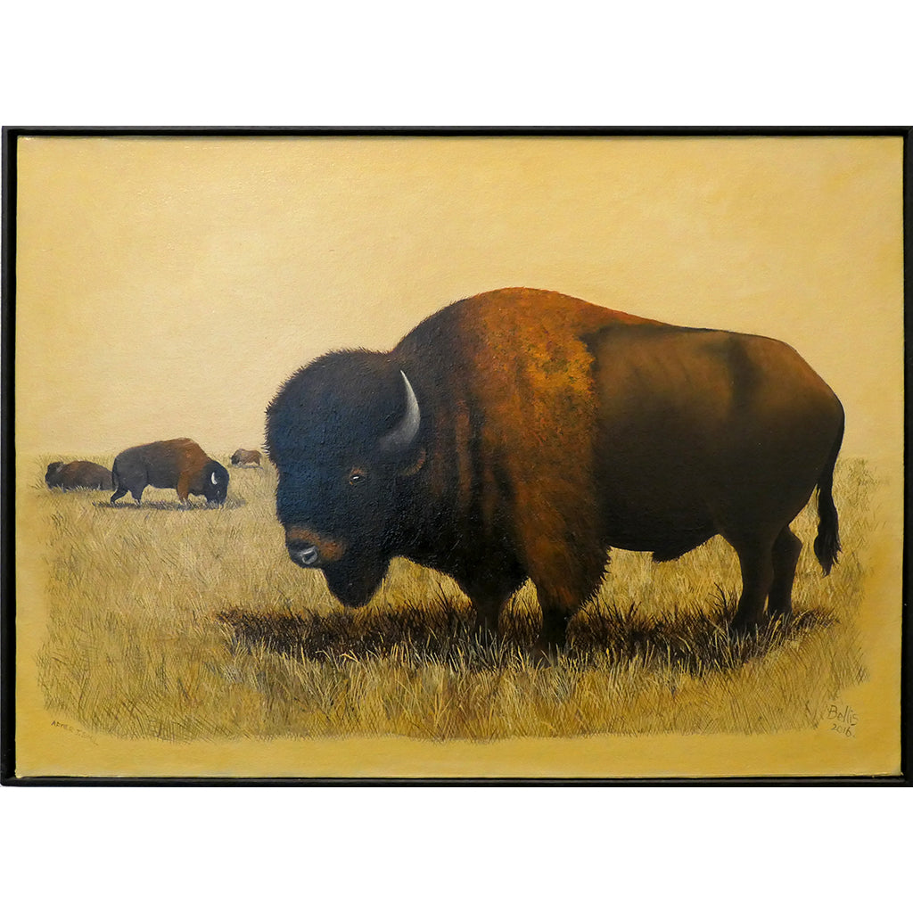 Buffalo Painting II Eric Bellis