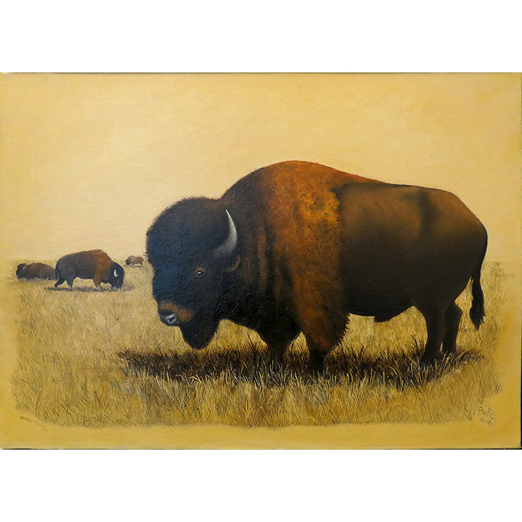 Buffalo Painting II Eric Bellis