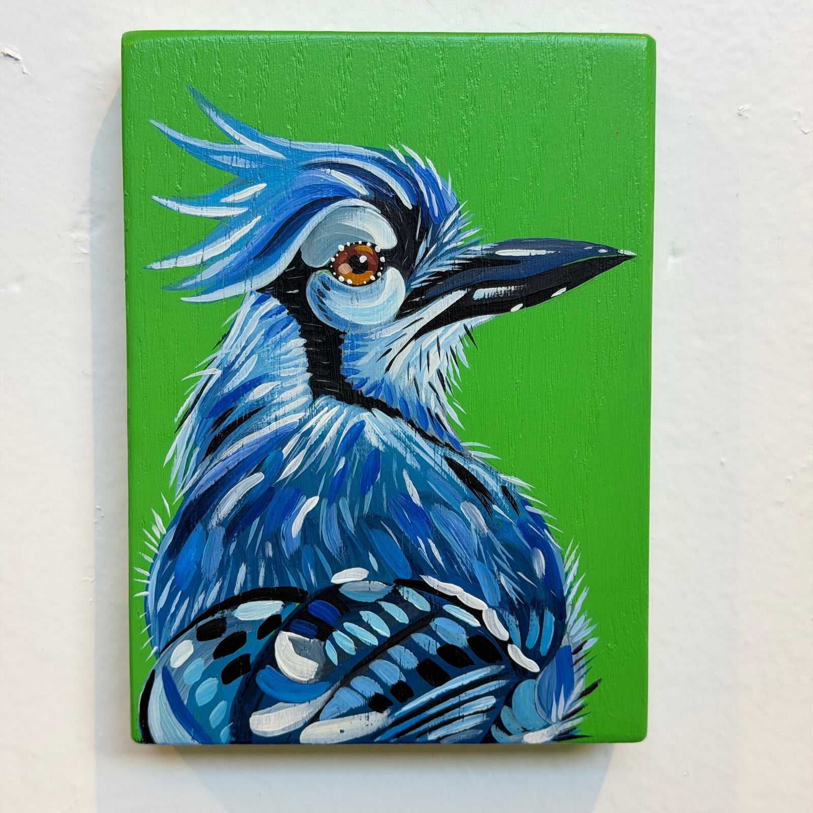 Blue Jay Kurt Herrmann
