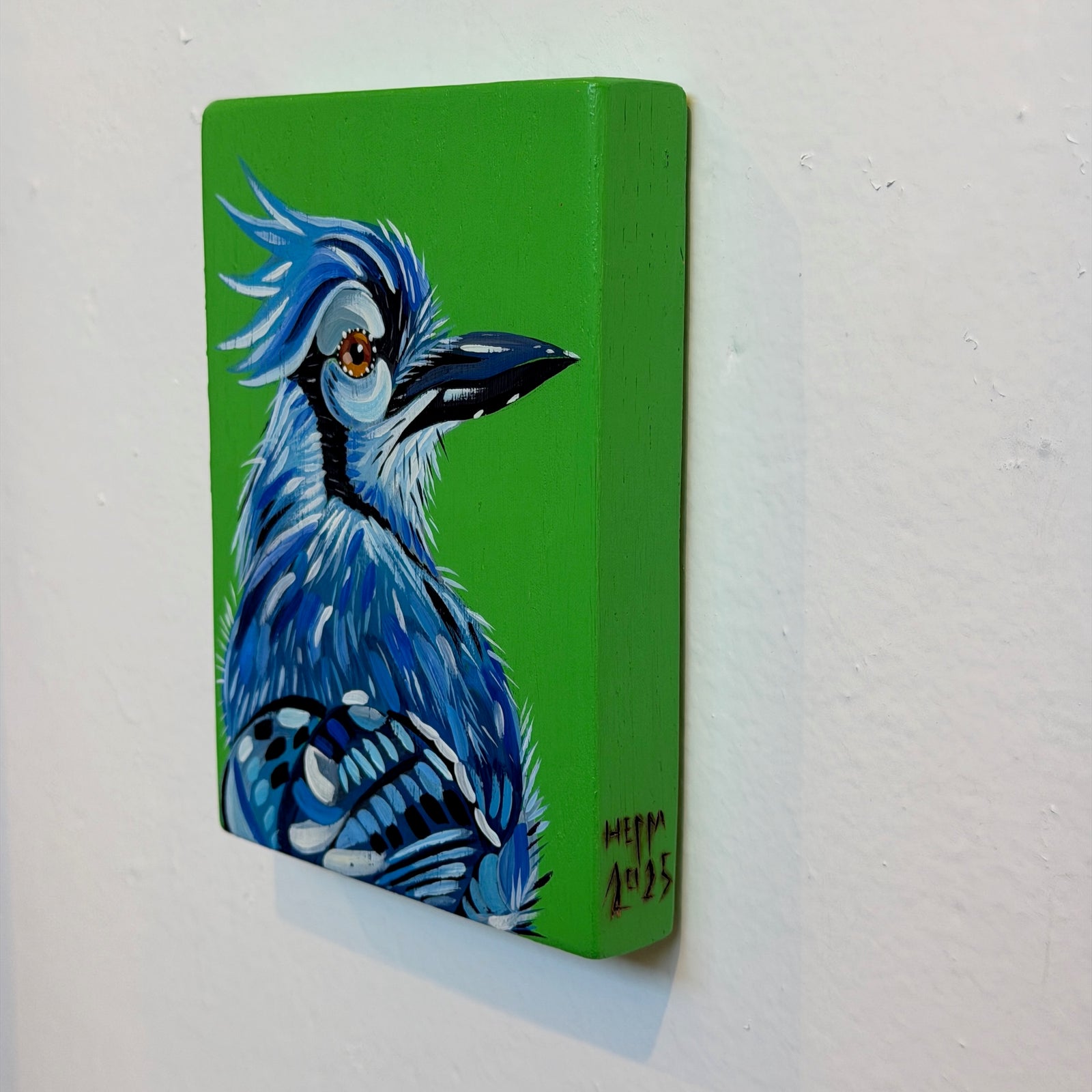 Blue Jay Kurt Herrmann