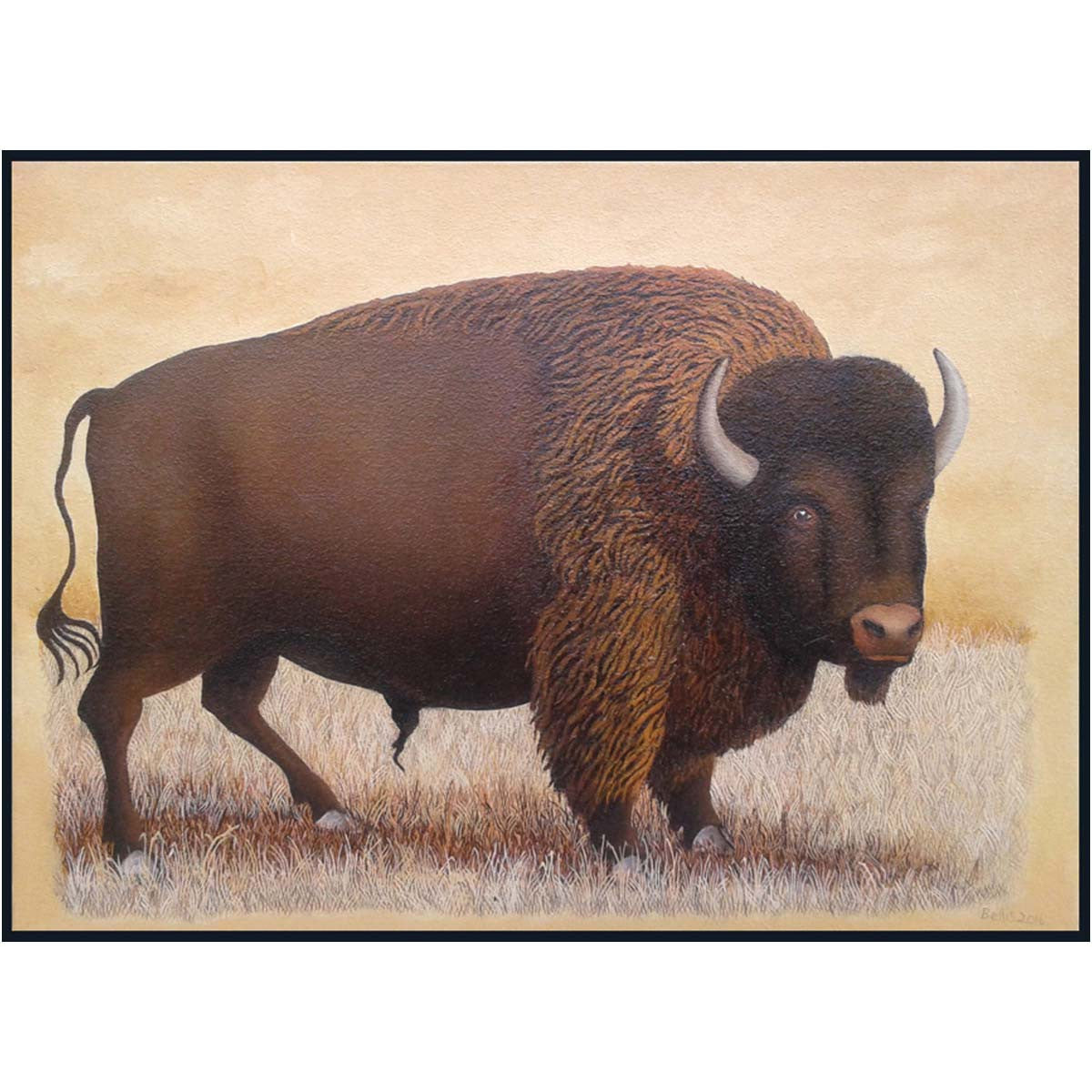 Eric Bellis - Buffalo Paintings