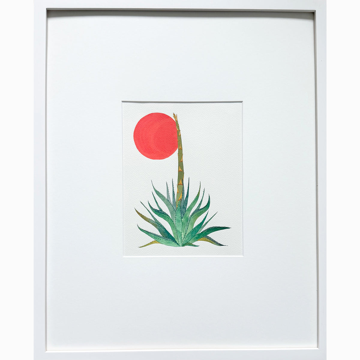 Sunset Agave