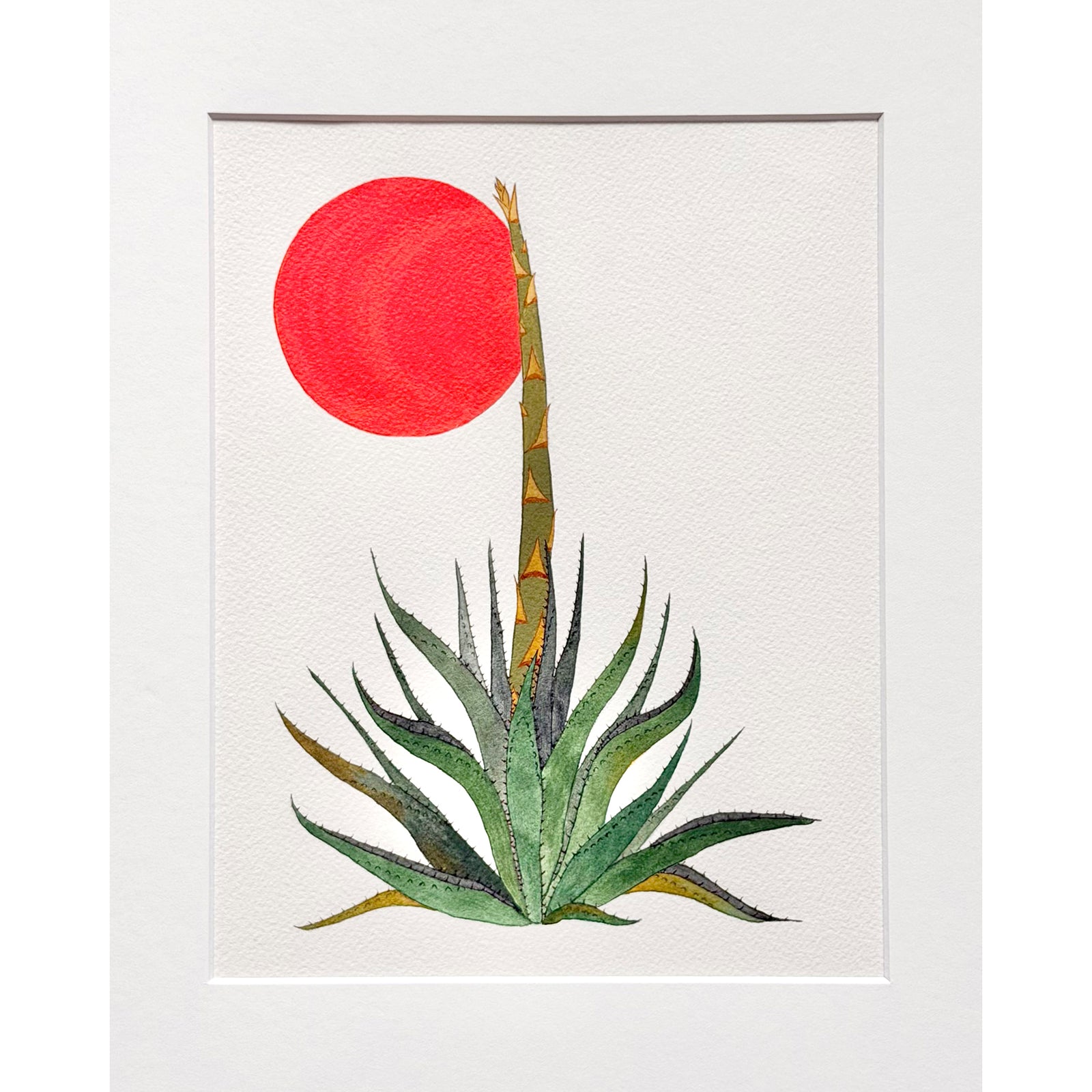 Sunset Agave