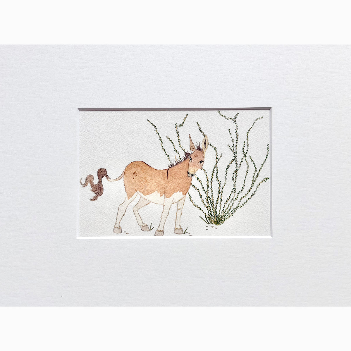 Terlingua Burro