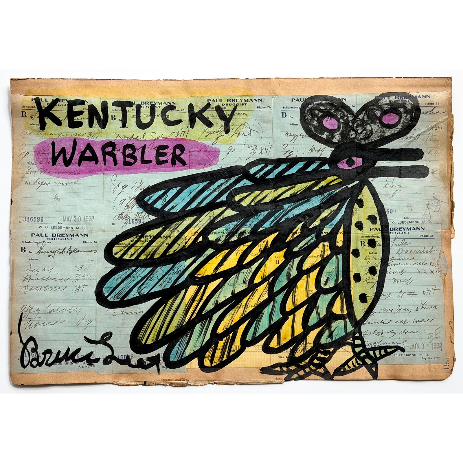 Kentucky Warbler
