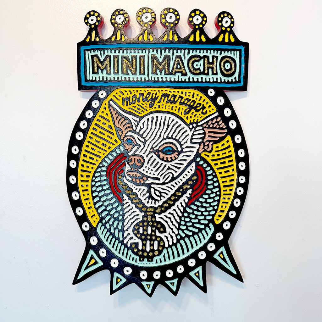 Mini Macho Money Manager Lisa Brawn