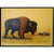 Buffalo Painting I Eric Bellis
