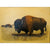 Buffalo Painting II Eric Bellis