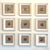 Color Study #1 Deborah Baker