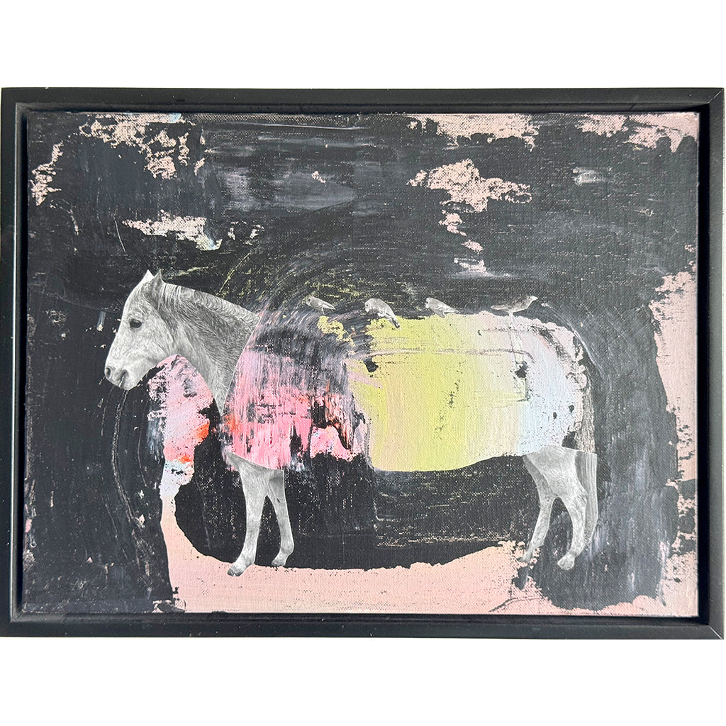 Pony With Birds Resting Holly Roberts