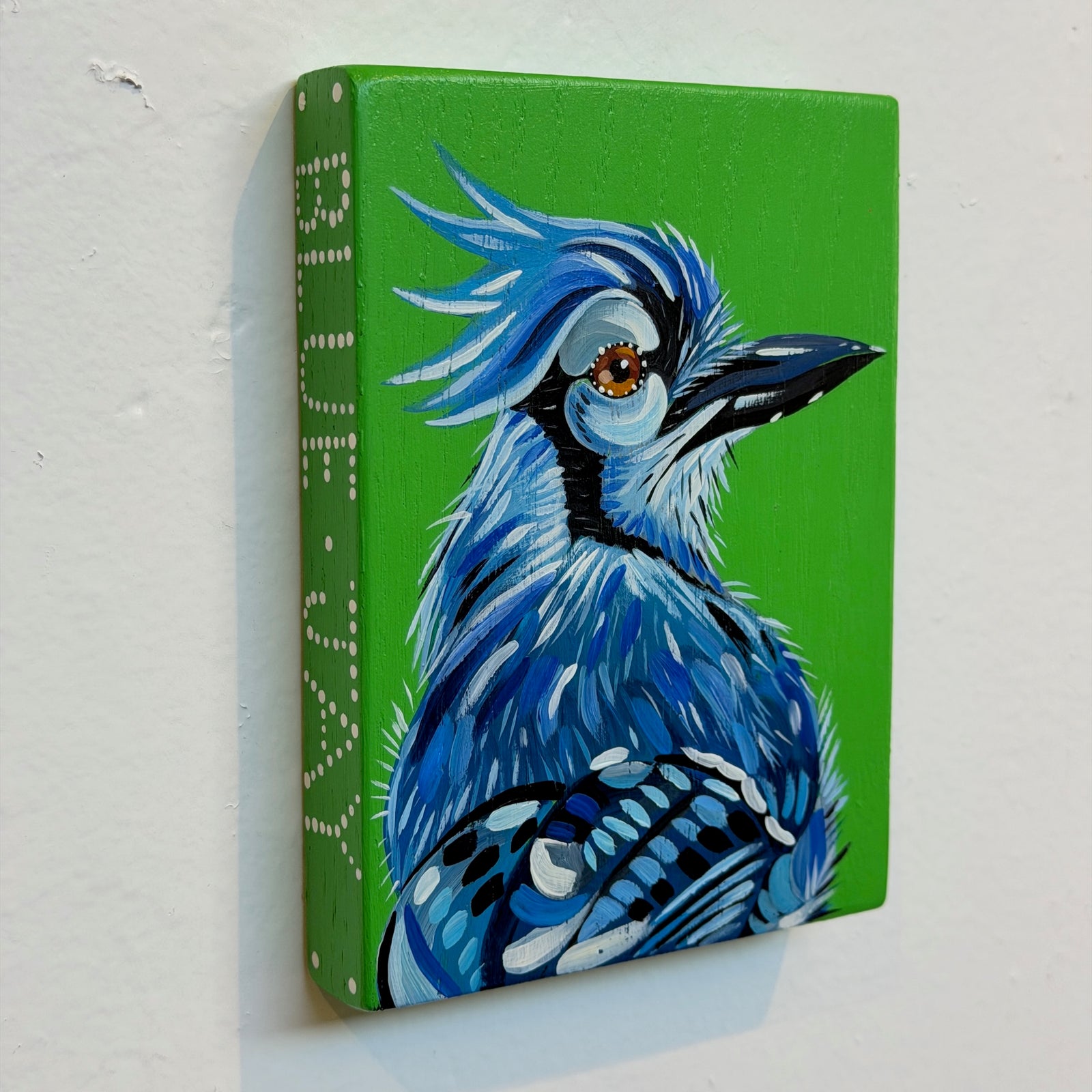 Blue Jay Kurt Herrmann
