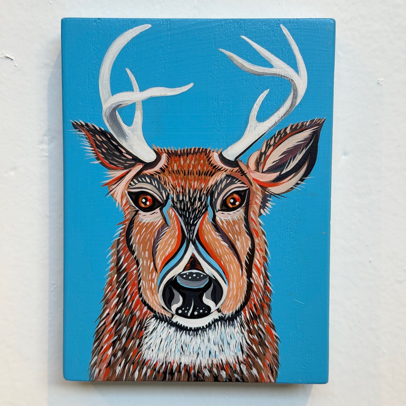 White-Tailed Buck Kurt Herrmann