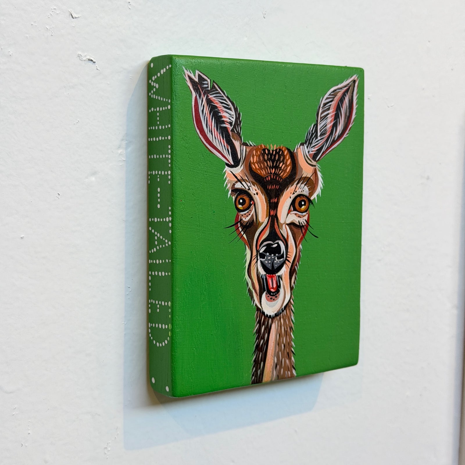 White-Tailed Doe Kurt Herrmann