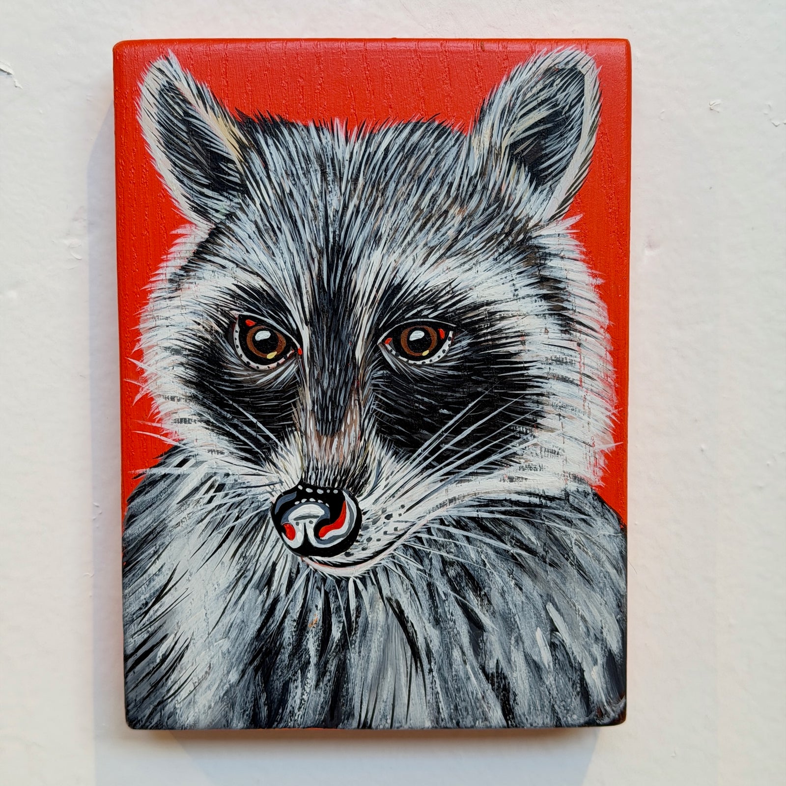Raccoon Kurt Herrmann