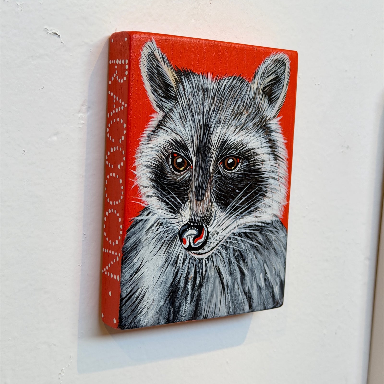 Raccoon Kurt Herrmann