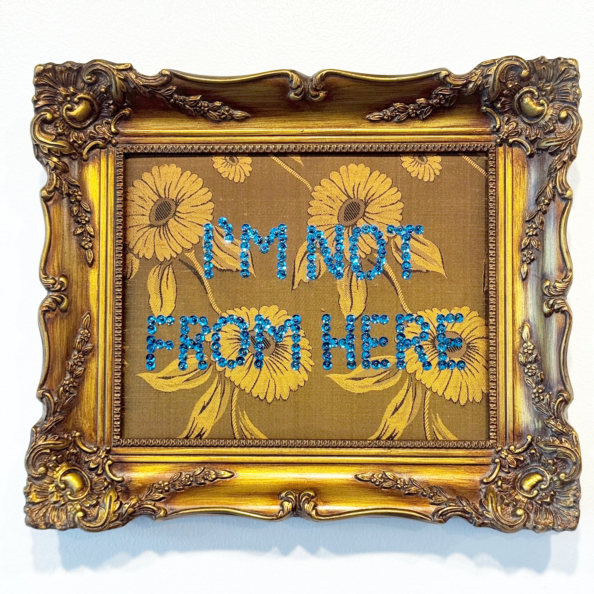 I’m Not From Here 2 Krissy Teegerstrom