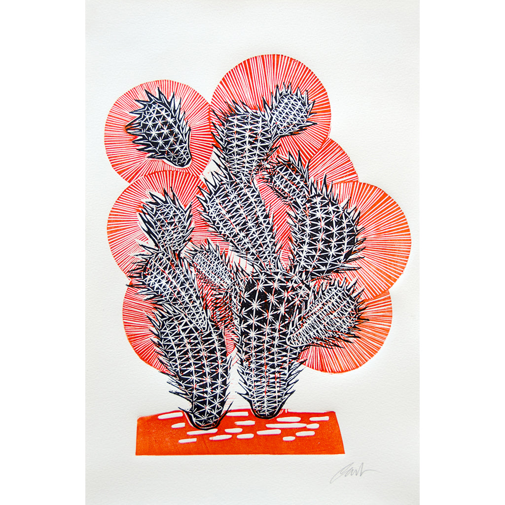 Sonido de Nopal Paul Rodriguez