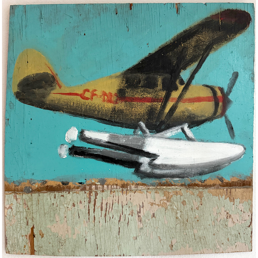 Memory Landing On Water Scott Griffin