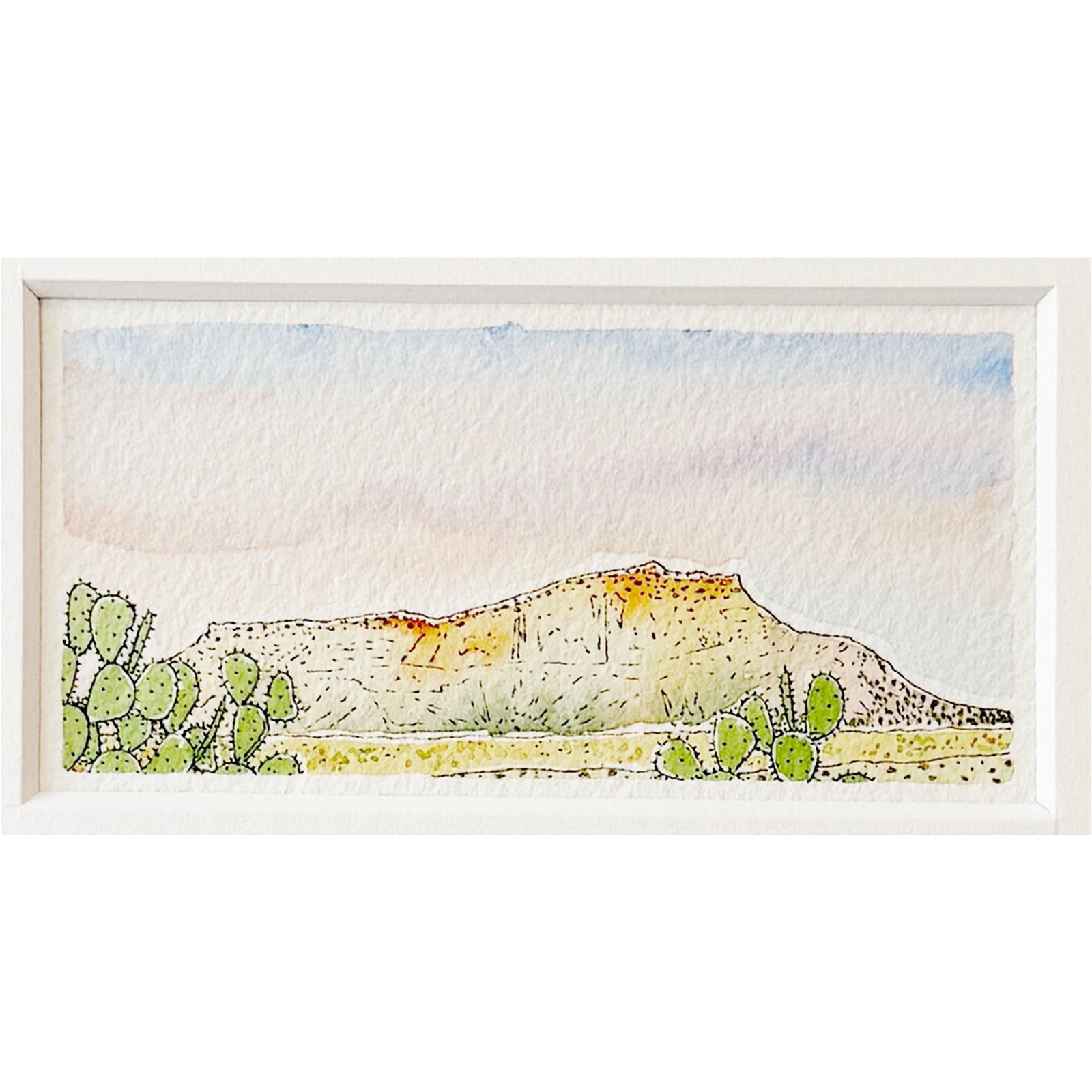 SVH 12 Sally Van Horn