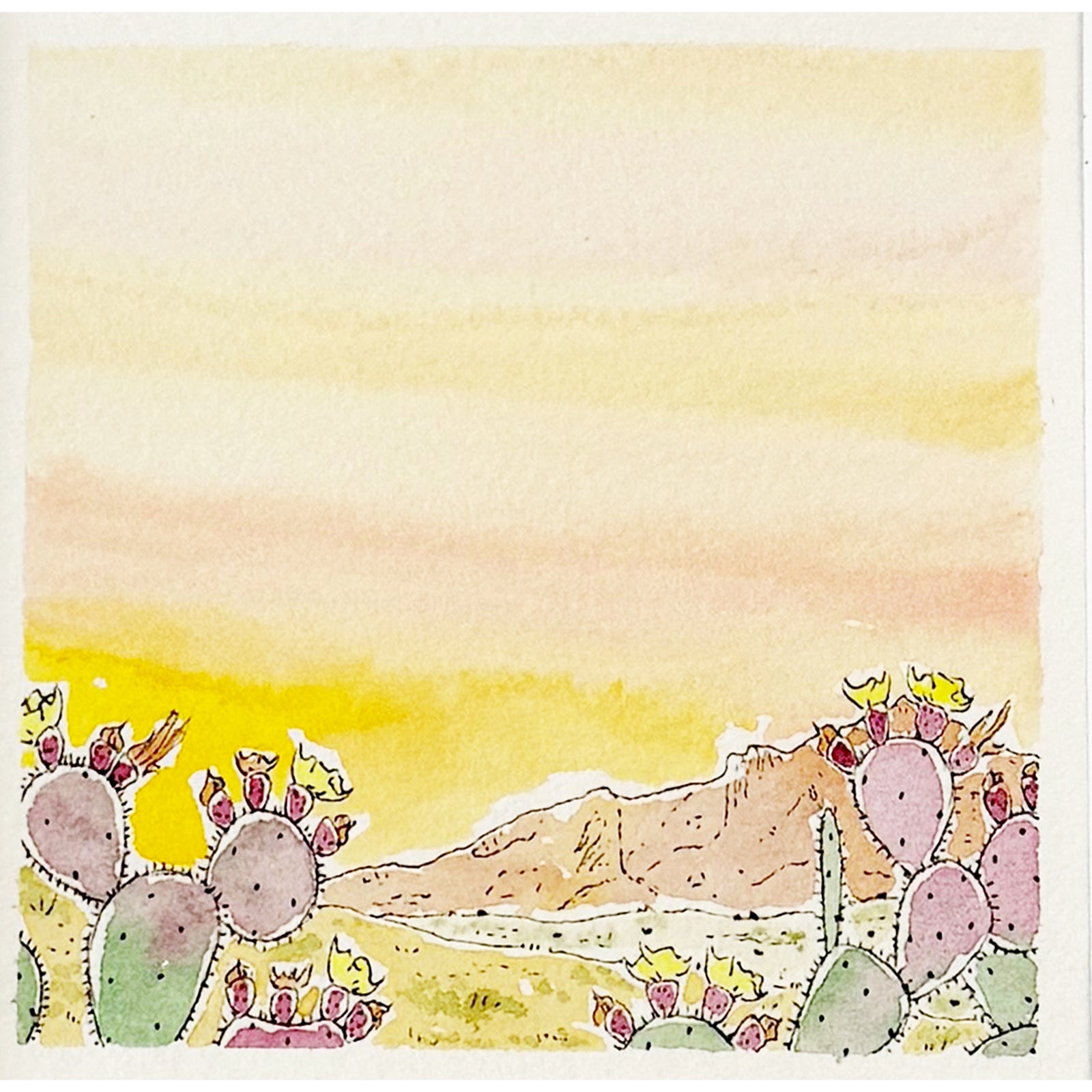 SVH 13 Sally Van Horn