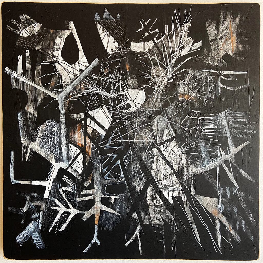 Maybe Woodpeckers Know A Way Out Of This Maze Jesse Narens