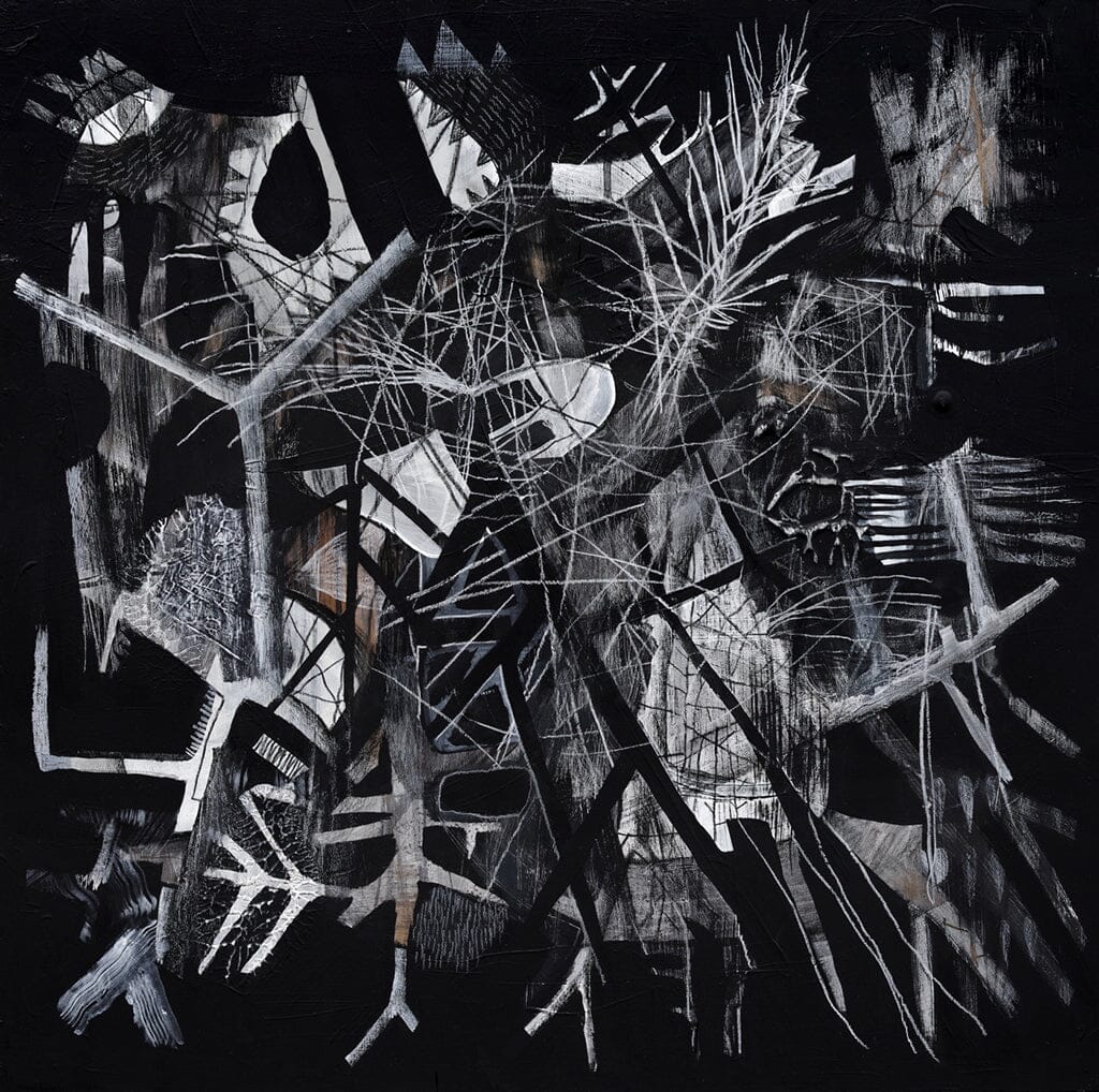 Maybe Woodpeckers Know A Way Out Of This Maze Jesse Narens