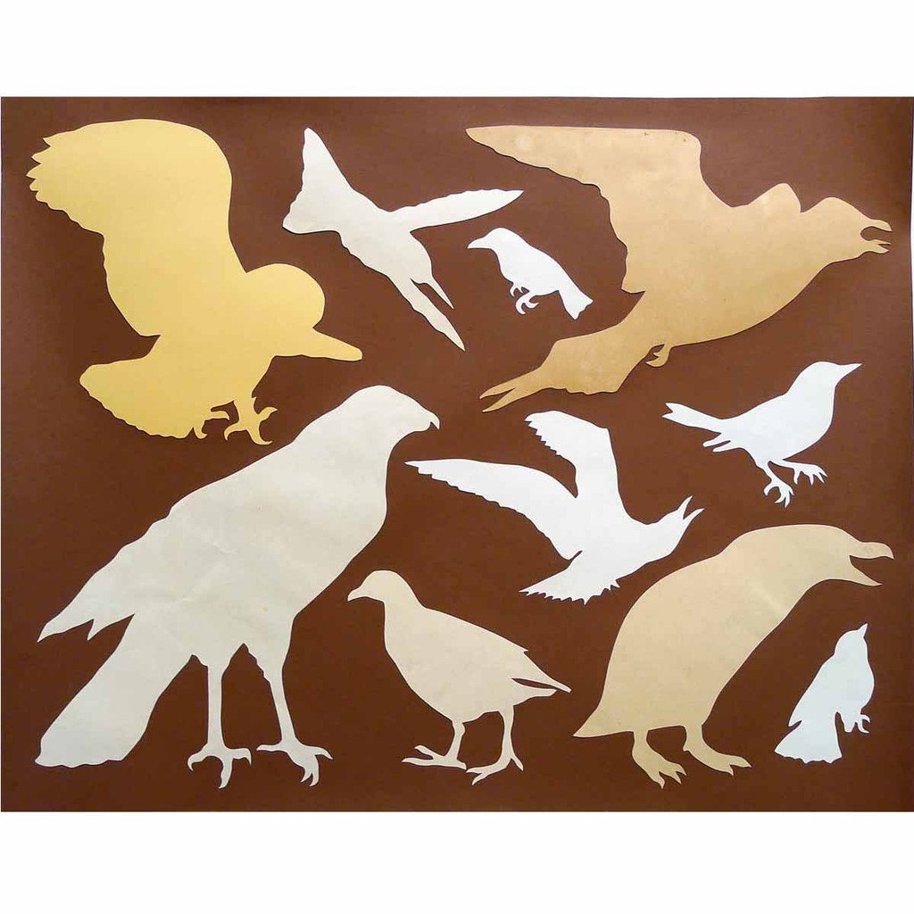 Birds on Brown Mike Miller