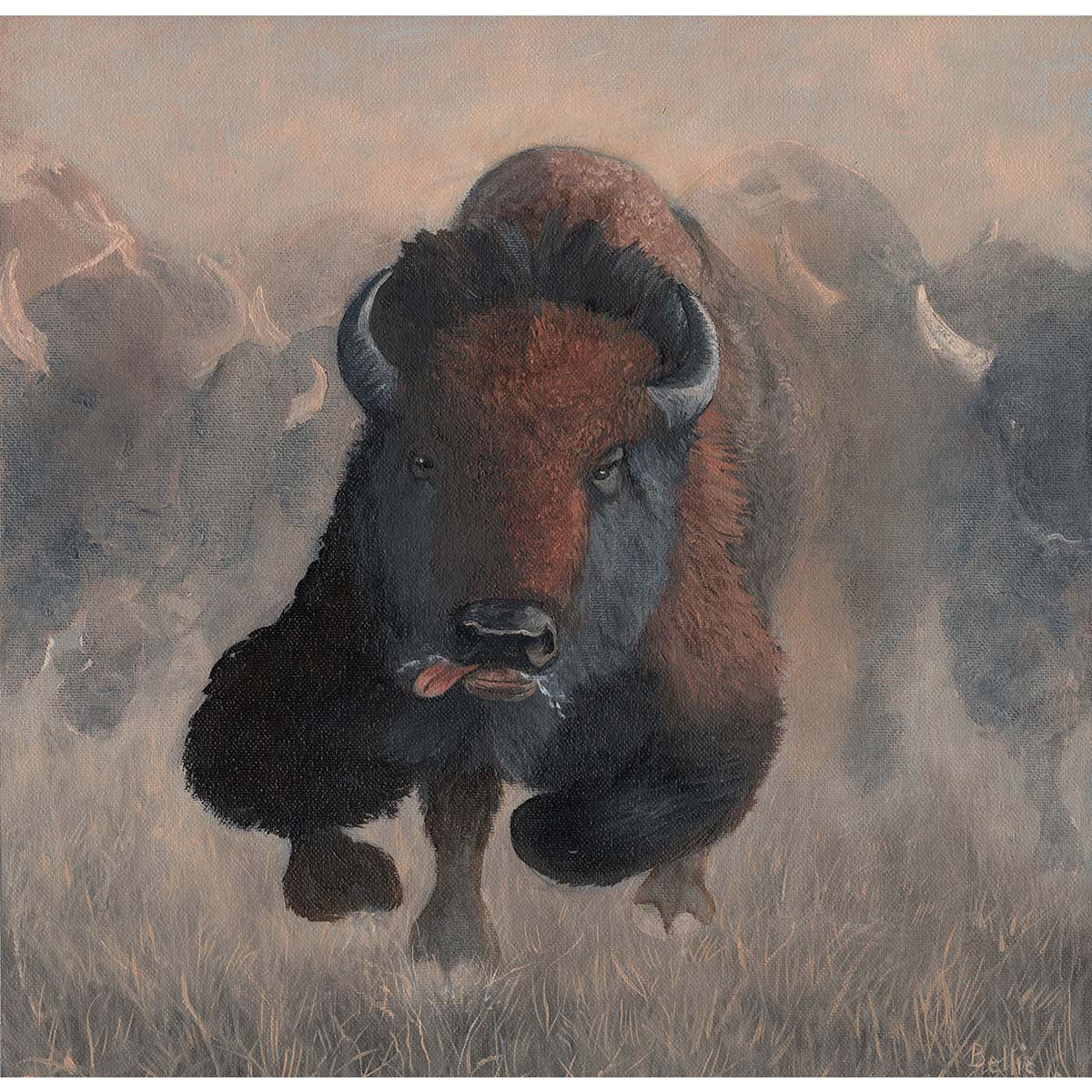 Buffalo Stampede II Eric Bellis