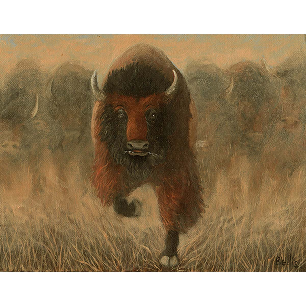 Buffalo Stampede I Eric Bellis