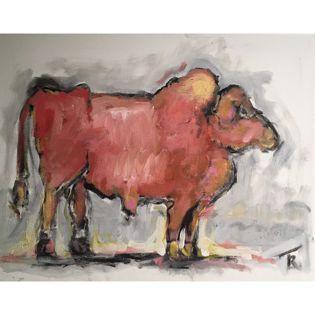 Simmental Bull Tom Russell